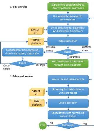 Figure 2 SANIST service process