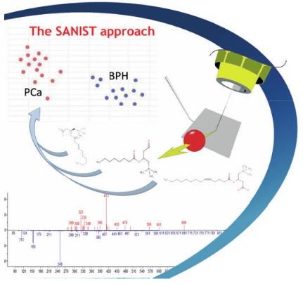 The SANIST approach