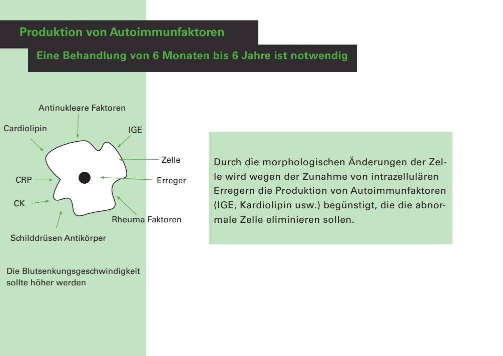 Produktion von Autoimmunkrankheiten