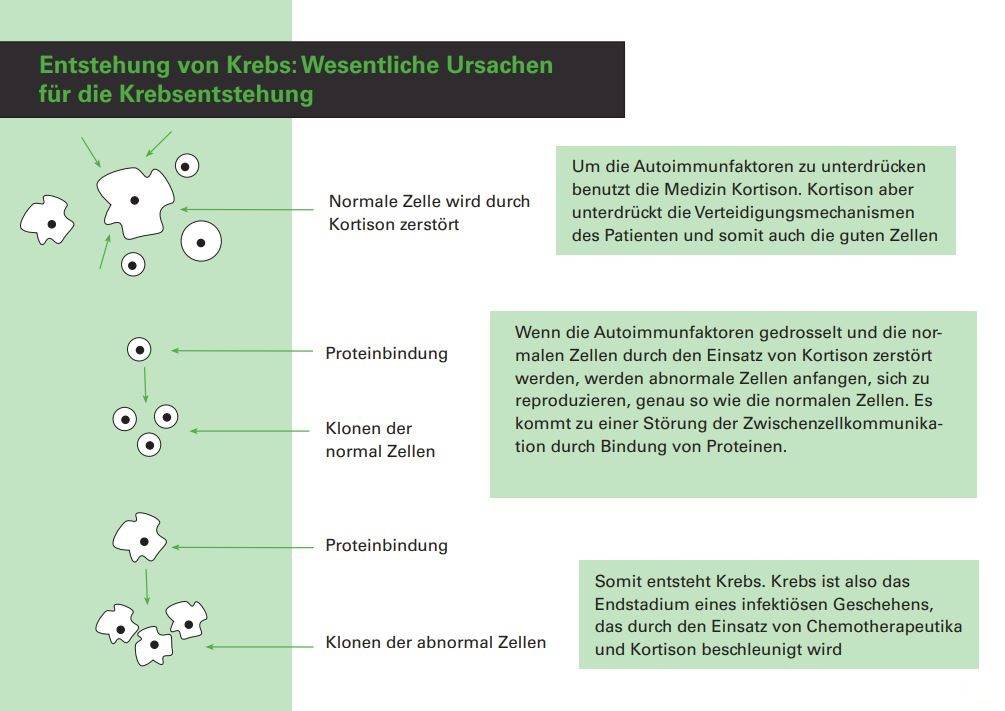 Entstehung von Krebs