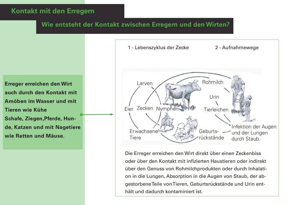 Erregern und den Wirten 2