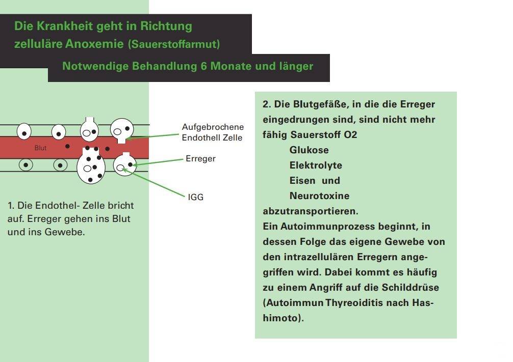 Die Krankheit geht in Richtung zelluläre Anoxemie